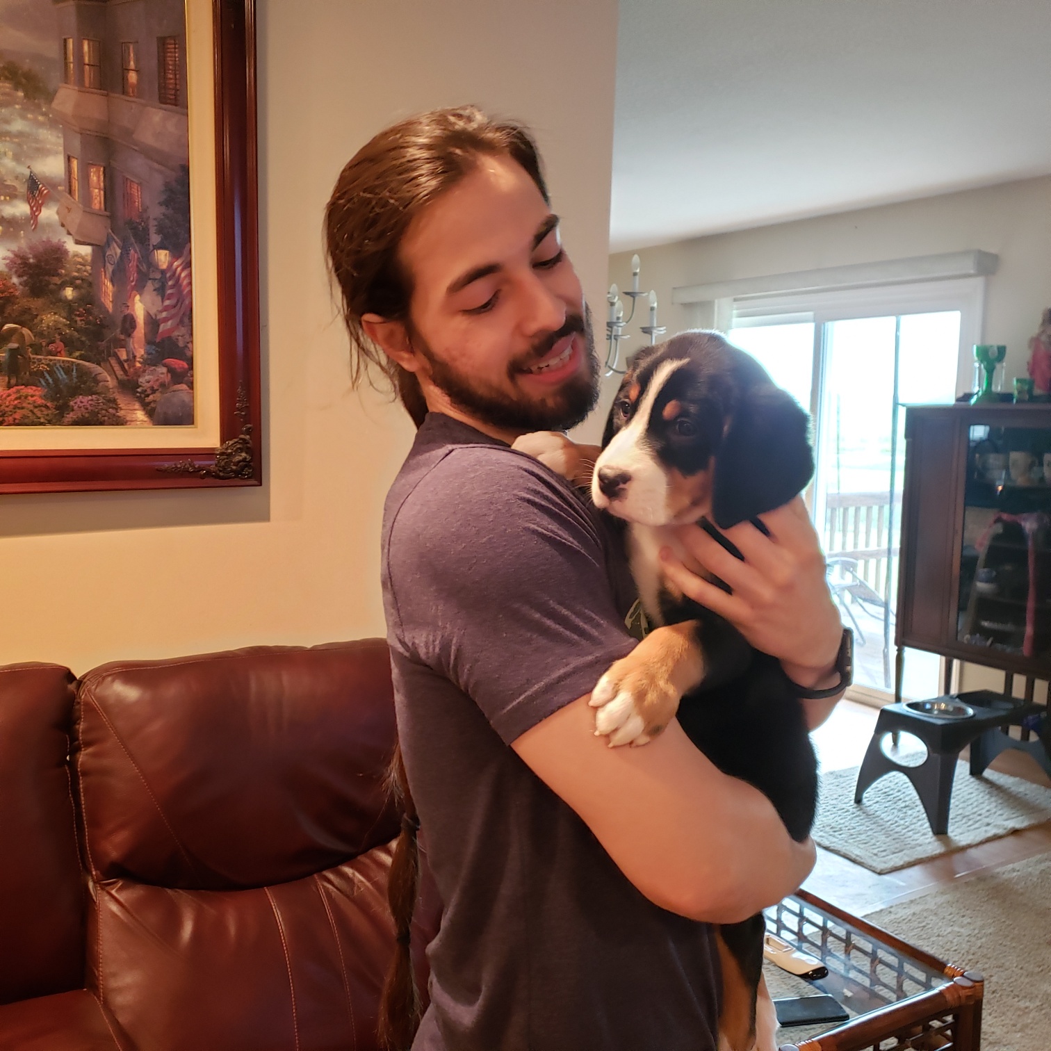 Moondog Swissies Puppy