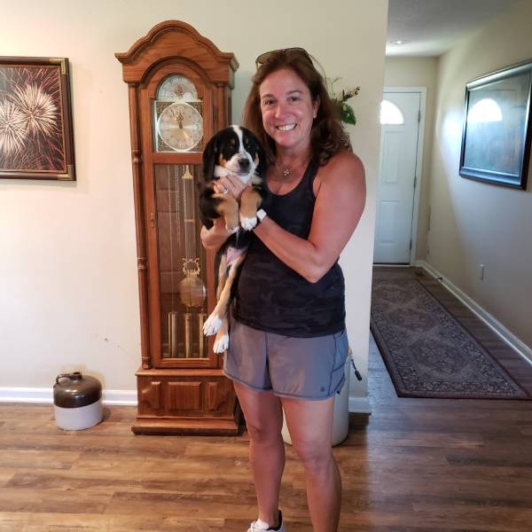 Moondog Swissies Puppy