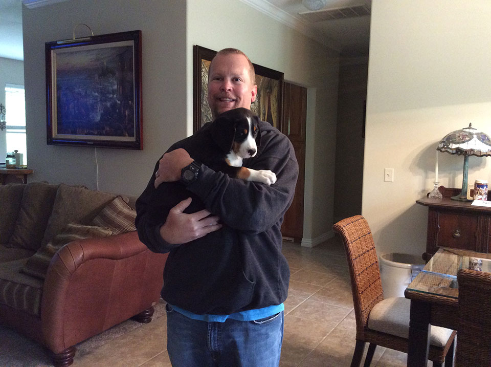 Moondog Swissies Puppy