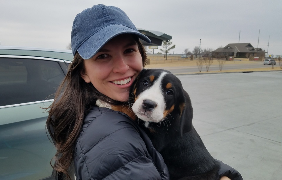 Moondog Swissies Puppy