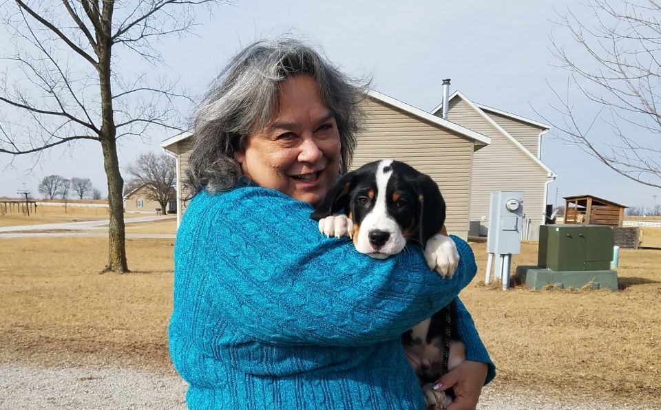 Moondog Swissies Puppy